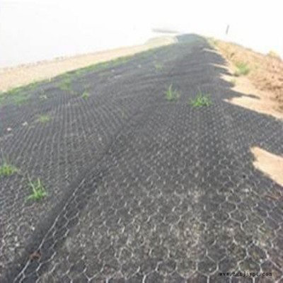 天之鹰**植草加筋麦克垫  河道护坡绿化网  聚丙烯  高尔凡图3
