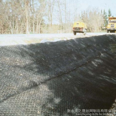 天之鹰厂家定制聚丙烯加筋麦克垫 三维植被土工网 丝径2.0mm图4