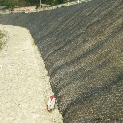 天之鹰厂家定制聚丙烯加筋麦克垫 三维植被土工网 丝径2.0mm图5