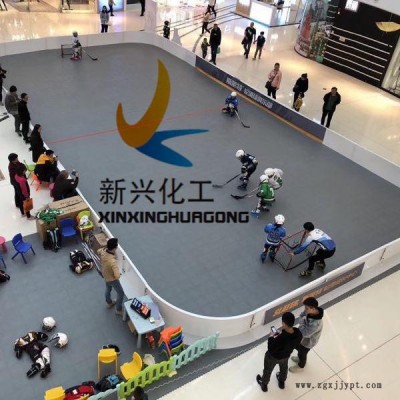 旱地冰球围挡 塑料旱地围挡聚丙烯材质山东新兴图2