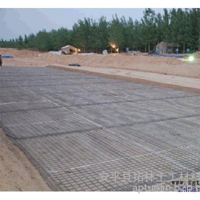 拓林 270克重/平米塑料土工格栅厂家、浙江塑料网格围栏用、聚丙烯塑料土工格栅价格、塑料格栅规格齐全、质量保证生产厂家图4