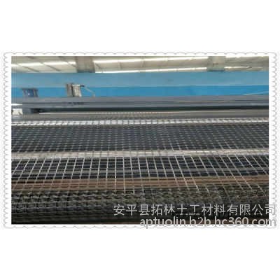 拓林 270克重/平米塑料土工格栅厂家、浙江塑料网格围栏用、聚丙烯塑料土工格栅价格、塑料格栅规格齐全、质量保证生产厂家图2
