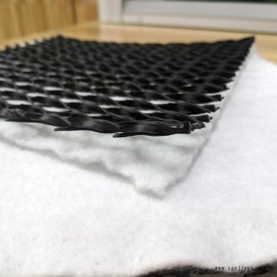 宇润 三维复合排水网 复合三维排水网 聚丙烯树脂渗排水网板 定制