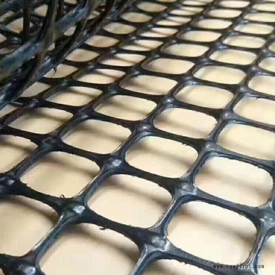 塑料土工格栅 路基加固双向塑料拉伸土工格栅 聚丙烯双向格栅图4