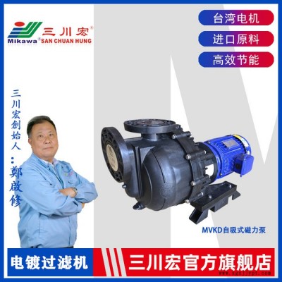 耐强腐蚀泵 泰兴三川宏经销MVKDP5052自吸式磁力泵 28吨PP聚丙烯塑料耐腐蚀化工泵