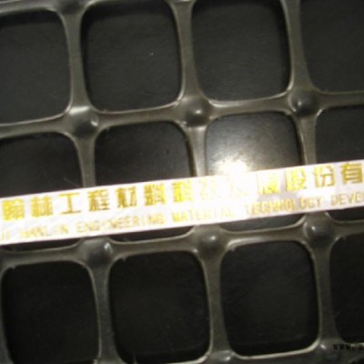 致辰土工格栅 批发价  单向拉伸聚丙烯土工格栅     单向土工格栅图4