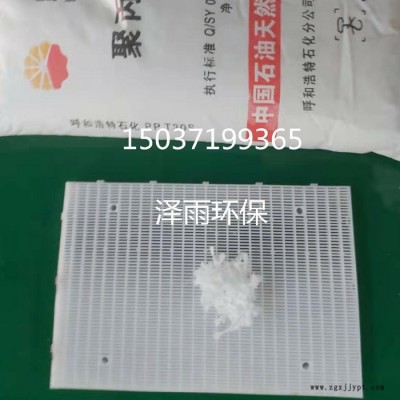 泽雨D型滤池拦截板设计及施工参数-聚丙烯拦截网板作用机理-彗星滤料拦截板使用年限及价格说明 石家庄D型滤池PP拦截网板图7