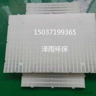 泽雨D型滤池拦截板设计及施工参数-聚丙烯拦截网板作用机理-彗星滤料拦截板使用年限及价格说明 石家庄D型滤池PP拦截网板图6