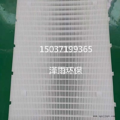 泽雨D型滤池拦截板设计及施工参数-聚丙烯拦截网板作用机理-彗星滤料拦截板使用年限及价格说明 石家庄D型滤池PP拦截网板图2
