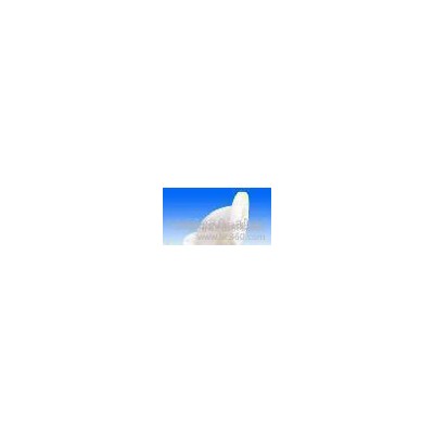 增强聚丙烯图2