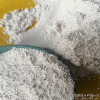 石茂供应高钙饲料贝壳粉 白色煅烧贝壳粉 贝壳粉特点 肥料填充剂图2
