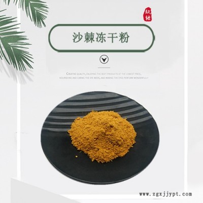 沙棘冻干粉99% 超低温冷萃工艺 新疆沙棘原料粉 工厂现货 包邮图3