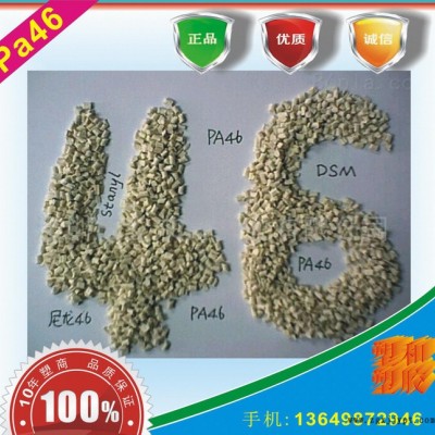 PA46/荷兰DSM/P755B图2