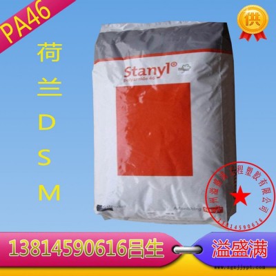 PA46荷兰DSM/TS256F8
