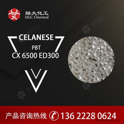 塞拉尼斯 PBT CX 6500 ED3002图3