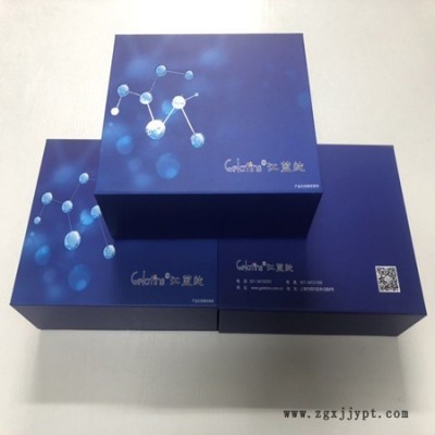 蔗糖磷酸合成酶（SPS)测试盒图2