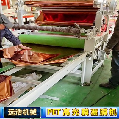 硅酸钙板覆膜贴面机 三胺高光板pet膜平贴机 陶瓷辊扫平涂胶图5