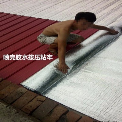 加工定制 铝膜复合气泡膜 加厚气泡复合铝膜 PET镀铝泡膜气垫膜图3