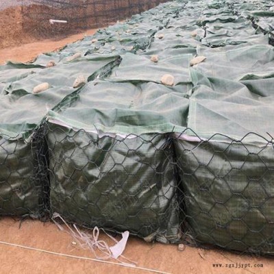 厂家现货 批发防汛生态土工石笼袋 土工膜袋山体护坡 PET抗冲植生袋