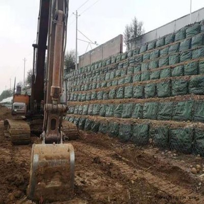 厂家现货 批发防汛生态土工石笼袋 土工膜袋山体护坡 PET抗冲植生袋图5