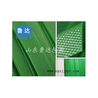 1608 PET塑钢带 pet打包带 半自动打包带 大同直销图3