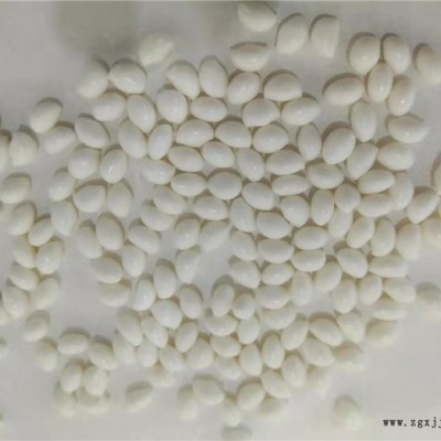 中山pa6水下造粒机组-广东天狼图1