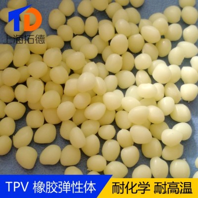 TPV埃克森美孚CMU201图2
