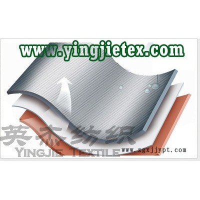 供应TPUtpu涤纶复合面料加工TPU 尼龙复合图3
