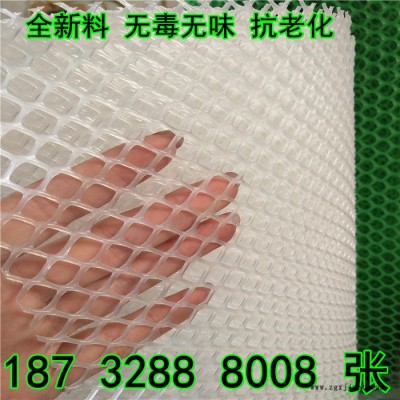 奔宇 厂家生产 供应 白色透明 pp pe 塑料网  塑胶网 全新料 抗老化 使用寿命长  规格齐全 可定制