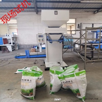 大包面粉电子称重包装机 小型PP颗粒定量灌装机 粉料打包机厂家推荐图4
