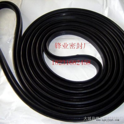 （锋业）生产橡胶制品 硅胶蒸压釜密封圈 三元乙丙橡胶圈图1