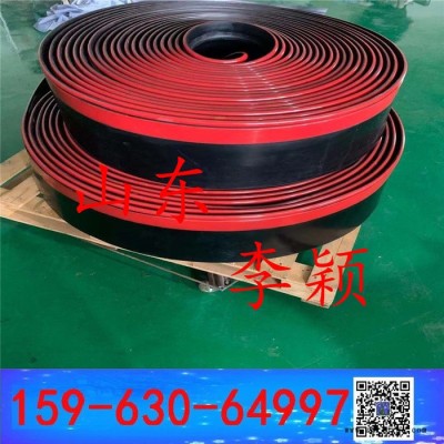 皮带防溢裙板的宽度H150-300mm  导料槽裙板Y-170 聚氨酯橡胶复合型图6