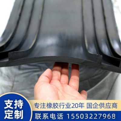 丛泰橡胶桥梁橡胶止水带 可卸式橡胶止水带 三元乙丙橡胶止水带 遇水膨胀上水带图6