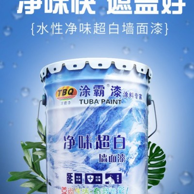 涂霸乳胶漆 内墙乳胶漆 家用净味乳胶漆厂家批发图3