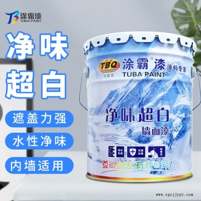 涂霸乳胶漆 内墙乳胶漆 家用净味乳胶漆厂家批发图7
