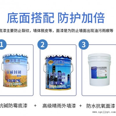 江门恩平水性乳胶漆 晴雨外墙乳胶漆批发 涂霸防水防霉乳胶漆图3
