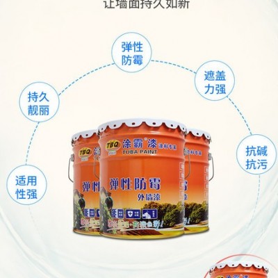 广东晴雨外墙乳胶漆批发 选涂霸防水防霉乳胶漆图5
