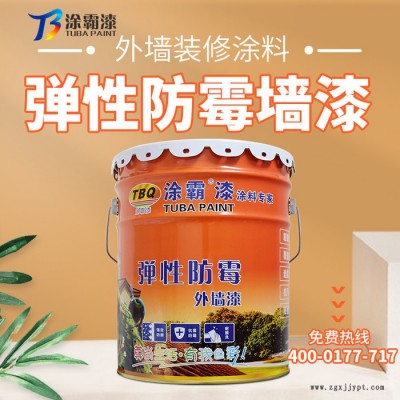 广东晴雨外墙乳胶漆批发 选涂霸防水防霉乳胶漆图3