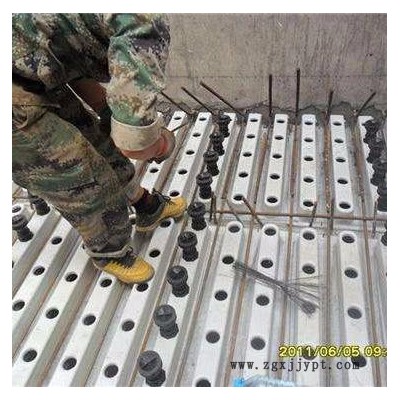 供应D型滤池专用ABS滤板   abs滤板用途  abs滤板厂家  abs滤板价格图4
