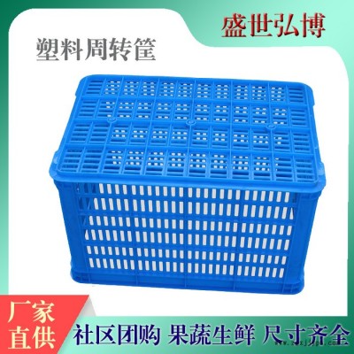 厂家批发 育苗筐 塑料周转筐 菌菇筐 蔬菜筐生产直销-盛世弘博图6