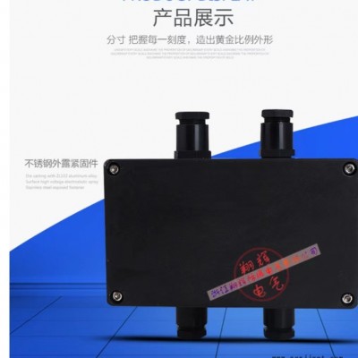 翔辉防爆定制各种 三防分线箱，工程塑料箱，防水箱，防爆箱，防腐接线箱，防腐插座箱，工程塑料照明动力检修配电箱，来图定制图6