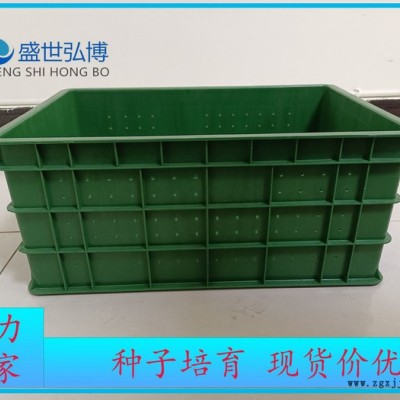 直供 塑料育芽箱 大豆芽箱 花生芽盘 育苗盘 绿色培育箱图3