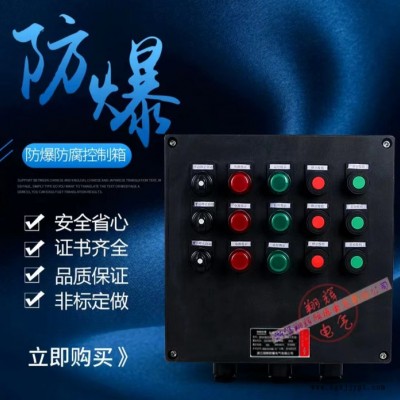 翔辉防爆防腐箱，工程塑料翔，防水，防尘，防爆箱，三防电控仪表箱，BXK8050系列防爆箱，厂家直供，来图定制，量多价优图4
