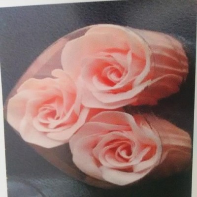 吸塑包装制品/礼品/酒盒吸塑包装/吸塑包装18017169906｜吸塑托盘上海广舟包装制品有限公司图2