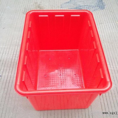 浙江 团力塑业  直销160塑料水箱 供应宁波运输海鲜 运输箱 塑料水箱