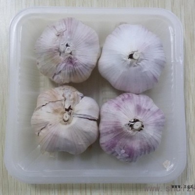 3010  2115  2513D  2013 3010 T-07 PET透明、PP本色常规吸塑盒上海广舟吸塑包装图4