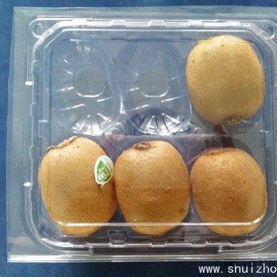 一次性水果包装盒、透明蔬菜包装盒 广舟包装专业设计定制果蔬包装盒图4