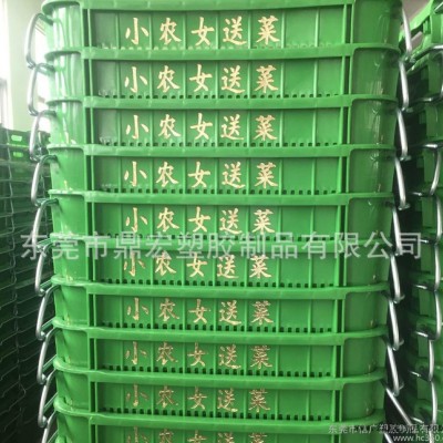 深圳海吉星小农女送菜绿色塑胶萝 塑料框2.7kg加厚带铁耳免图3