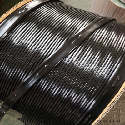 1.5寸2寸3寸农用滴灌带，PE塑料软管水带微喷图3