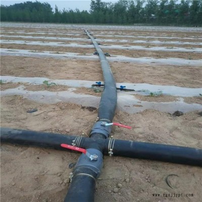 农田蔬菜滴灌设备 节水灌溉贴片式滴灌带 出水量均匀图3